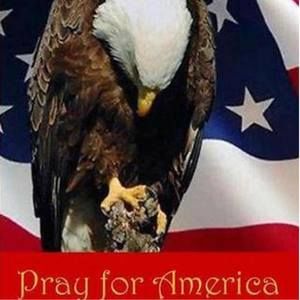 Meet your Posher, Torri